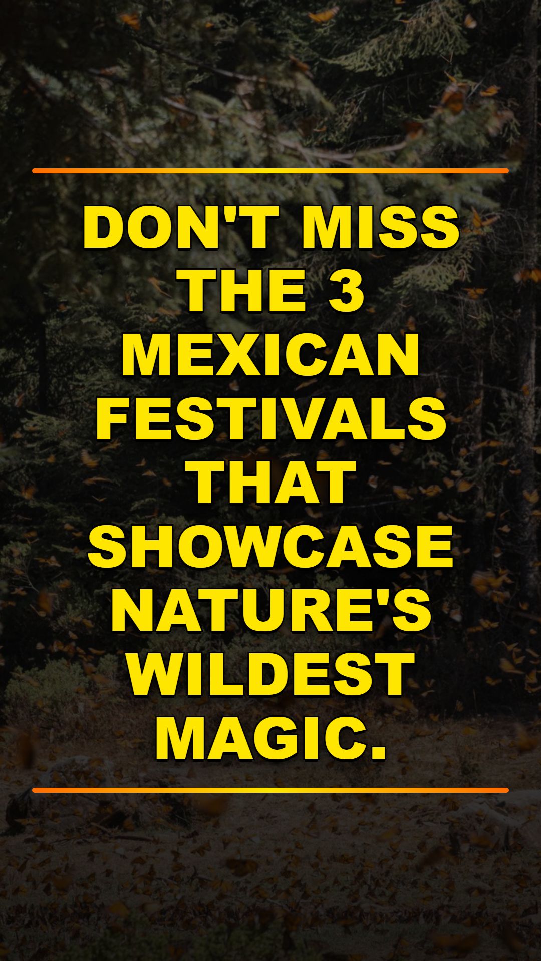 Mexico's Wildest Nature Festivals Guide