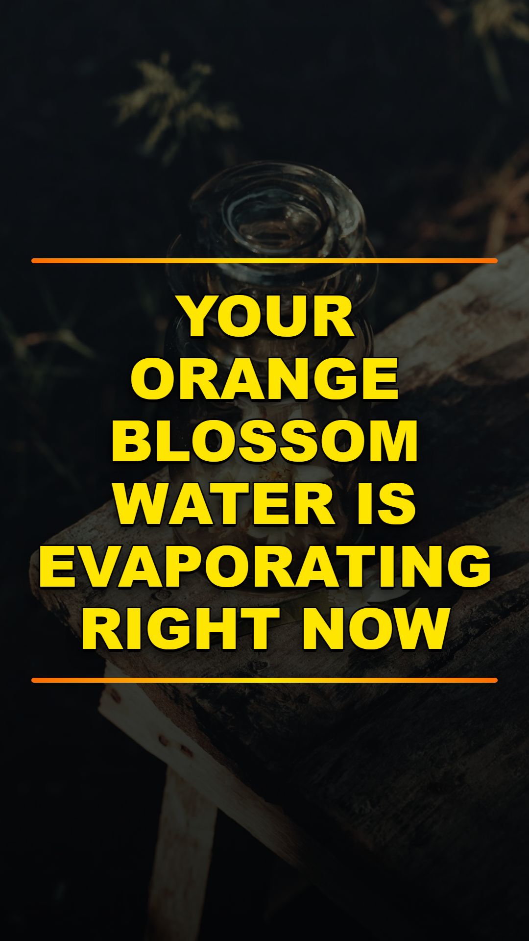 Stop Wasting Orange Blossom Water