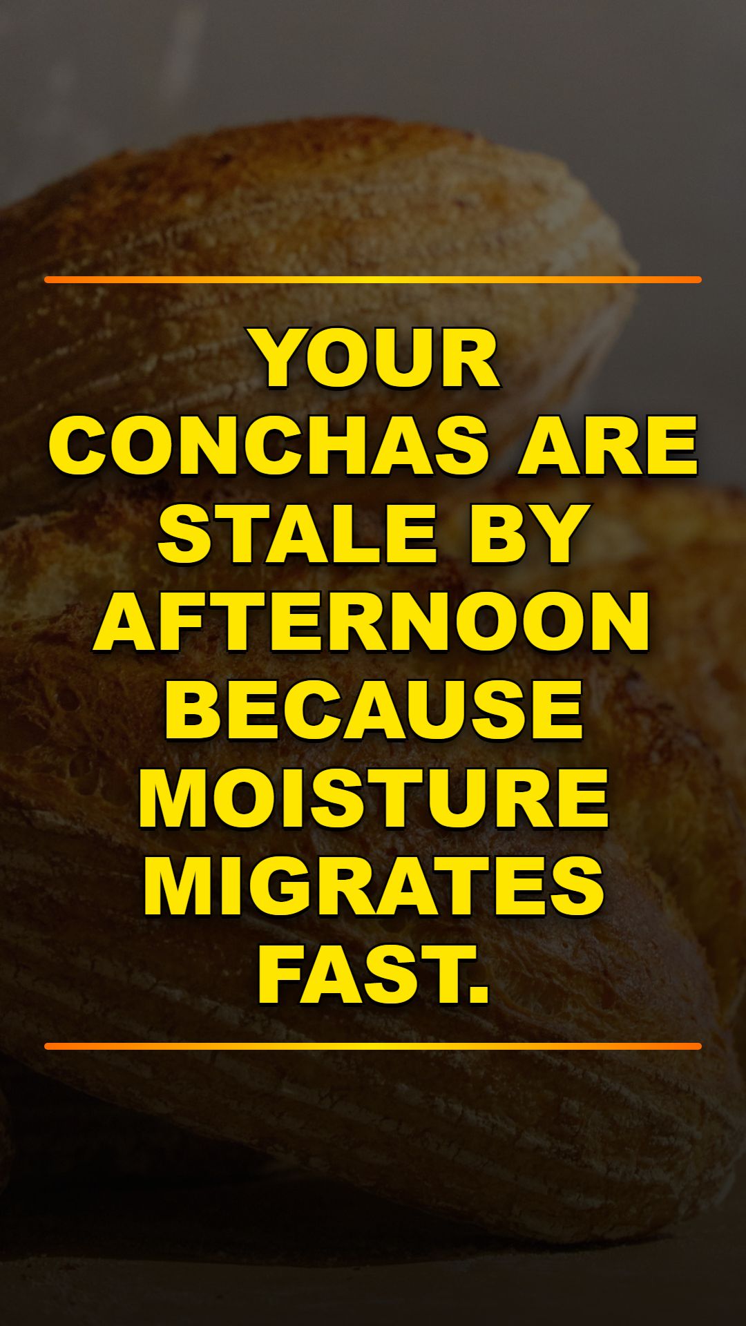 Why Conchas Stale Fast (& How to Buy Fresh